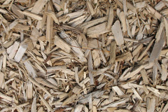 biomass boilers Frinsted